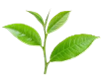 Picture8.png